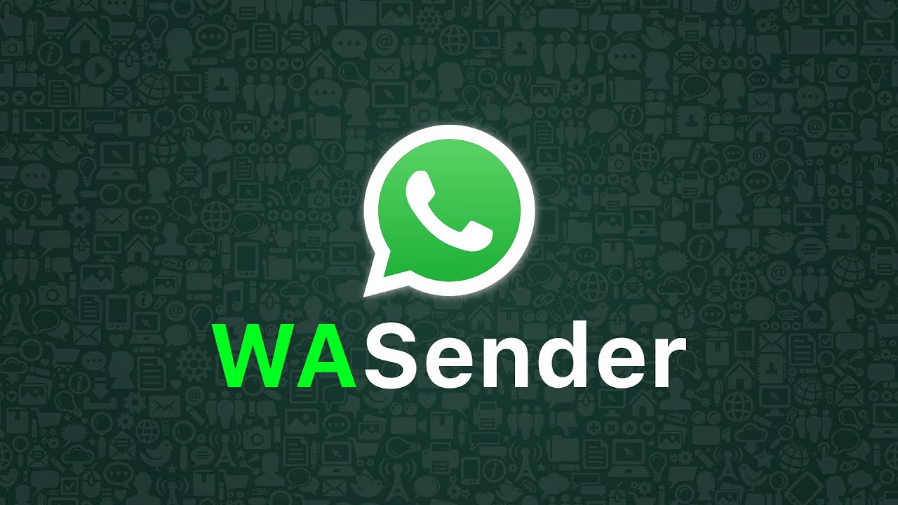 WaSender 3.4